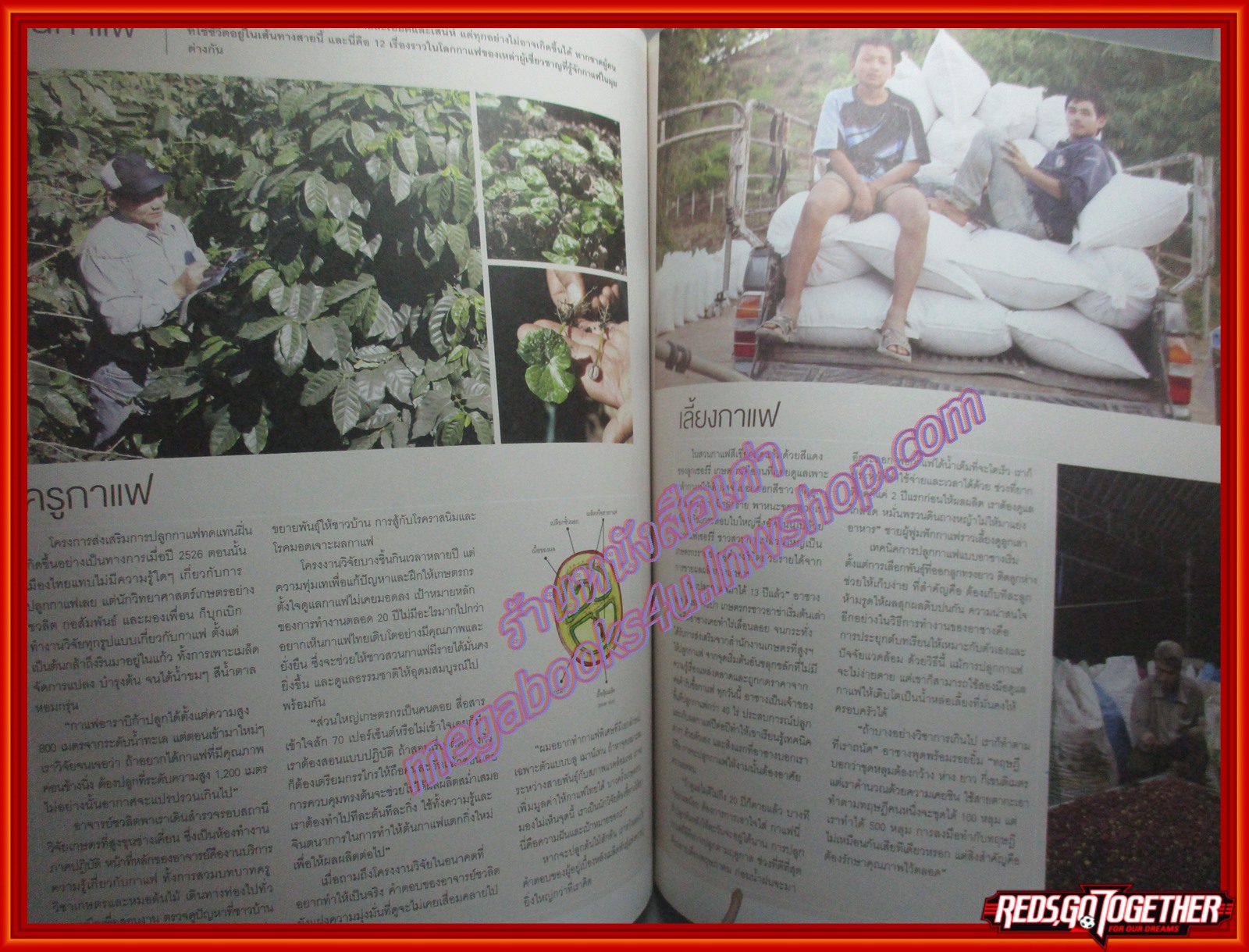 นิตยสารA DAY ฉบับที่163 ปี2557 ปก COFFEE ISSUE