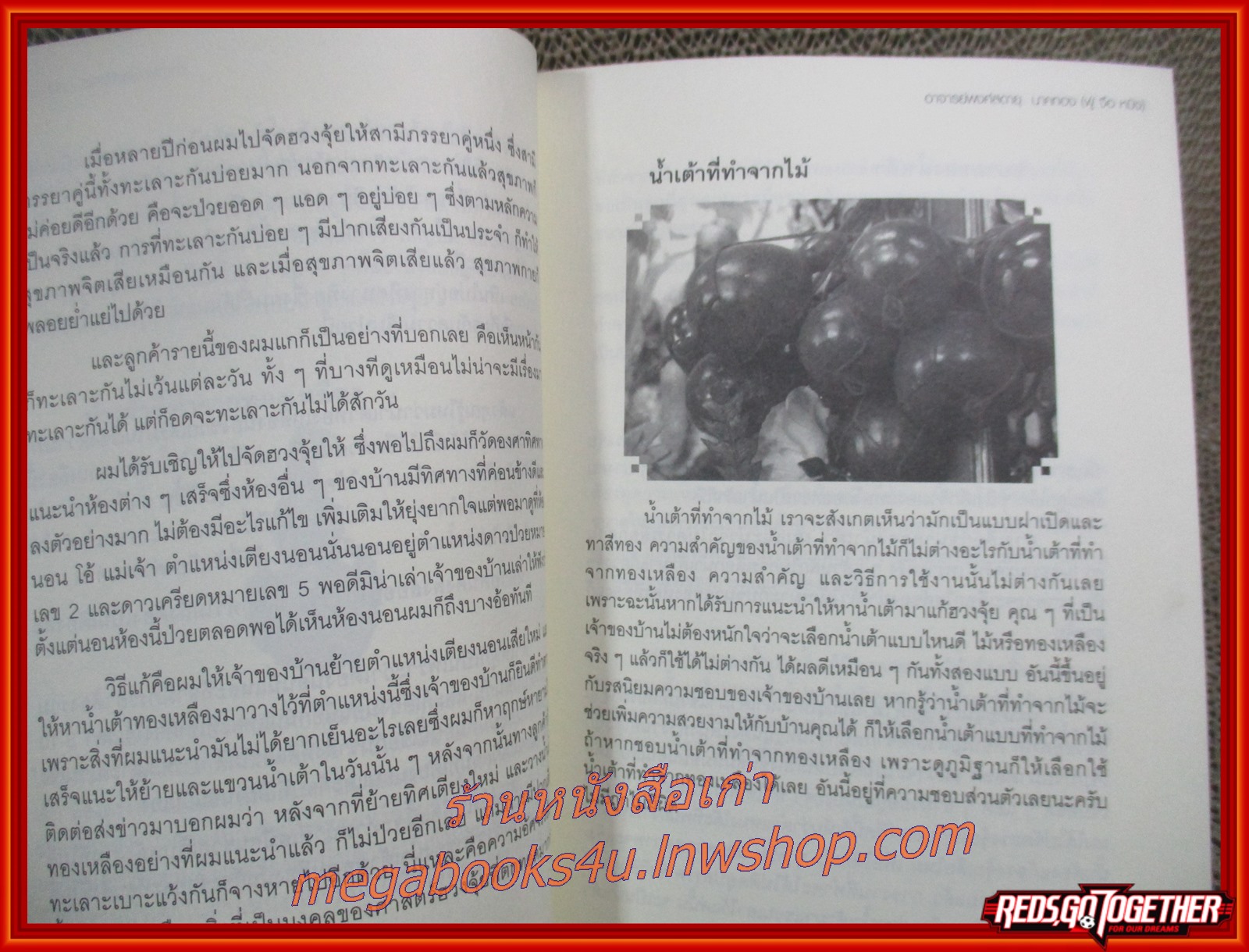 คัมภีร์ฮวงจุ้ย FENG SHUI MANUAL / อ.พงศ์สดายุ / เคล็ดลับการจัดฮวงจุ้ยให้ร่ำรวย