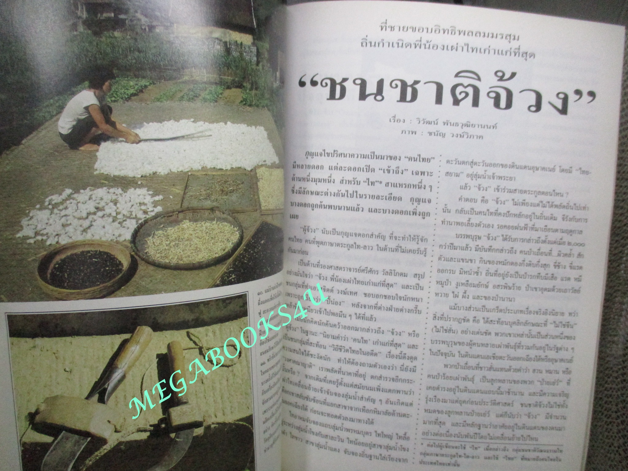 นิตยสารสารคดี ฉบับที่119 มกราคม 2538 หมูชีวิตนี้เพื่อมนุษย์ ชนชาติจ้วง วอชิงตันดีซี ยะลา