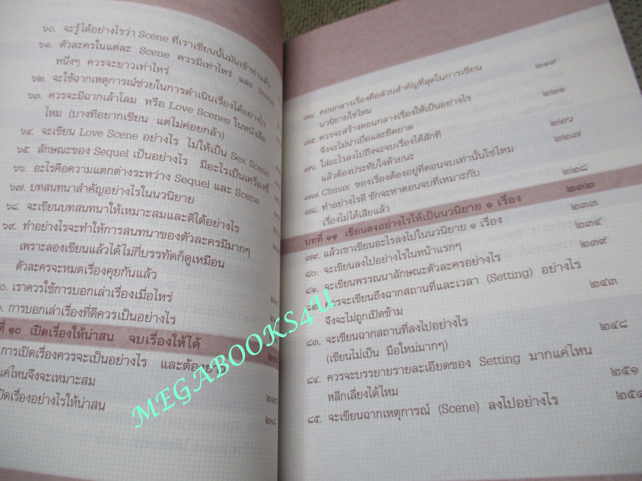 100 คำถามสร้างนักเขียน นิยาย คุณเขียนได้ด้วยตนเอง / ฟีลิปดา (มือสอง) (สภาพ85-95%)