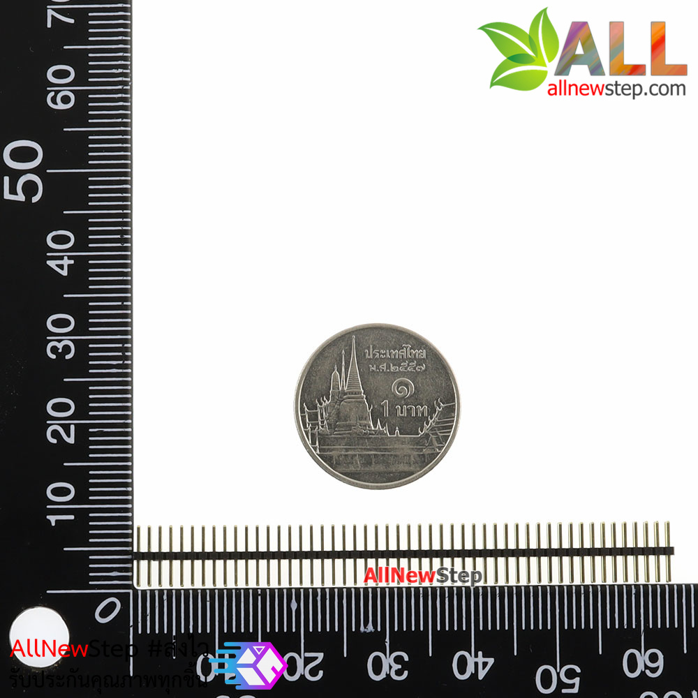 ก้างปลา 2x50 ขา ระยะห่าง 1.27mm