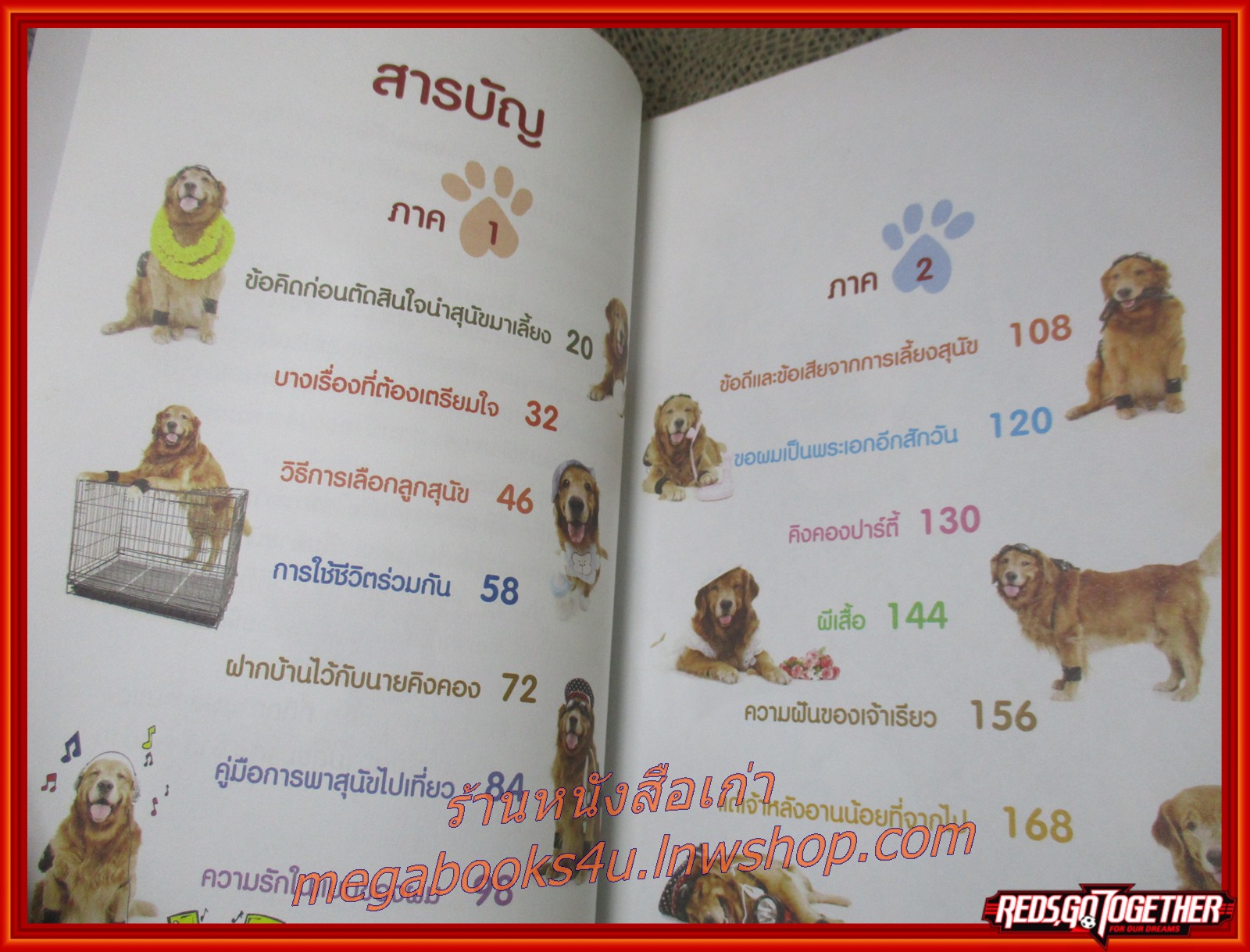 ผมชื่อคิงคองคร้าบ เล่มพิเศษ ตอน คิงคองปาร์ตี้ / วัสชนะ พรหมประสิทธิ์ / รวมฮิตหลากหลายวิธีการเลี้ยงสุนัขในแบบฉบับของนายคิงคอง