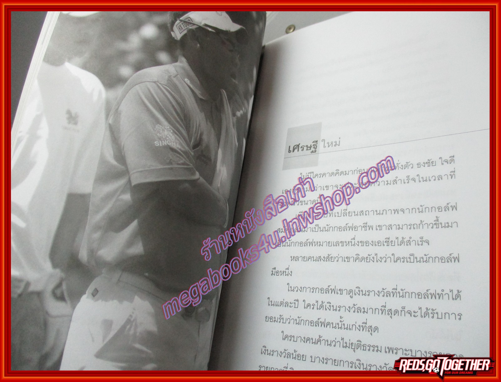 ธงชัย ใจดี บนเส้นทางสู่ดาว (มือสอง) (สภาพ85-95%)