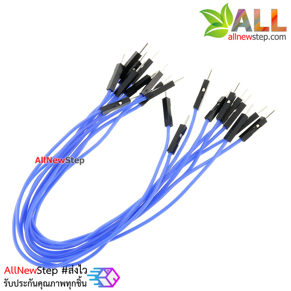 สายไฟจัมเปอร์ ผู้-ผู้ สีน้ำเงิน 20cm จำนวน 10 เส้น
