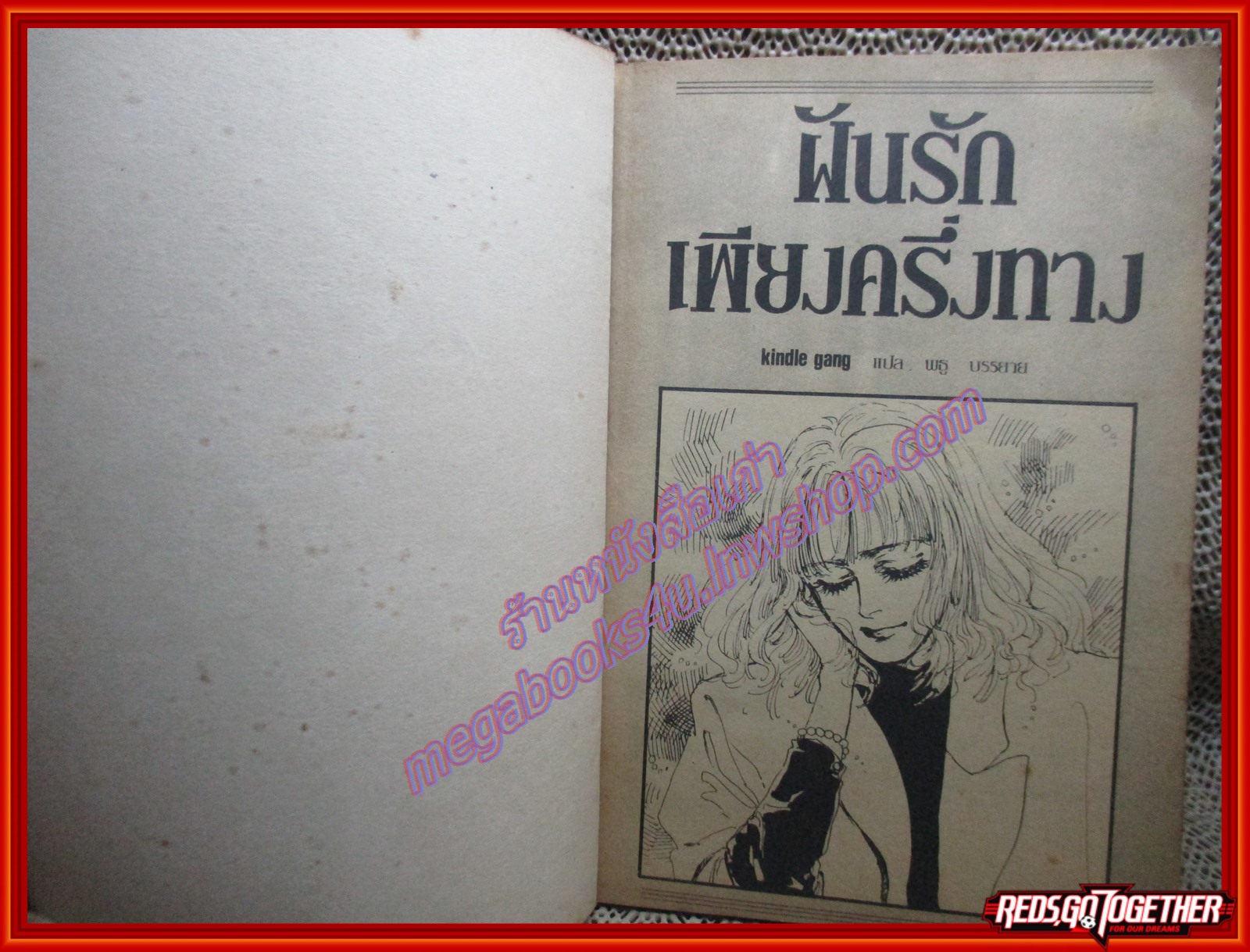 การ์ตูนบ้าน ฝันรักเพียงครึ่งทาง เล่มเดียวจบ