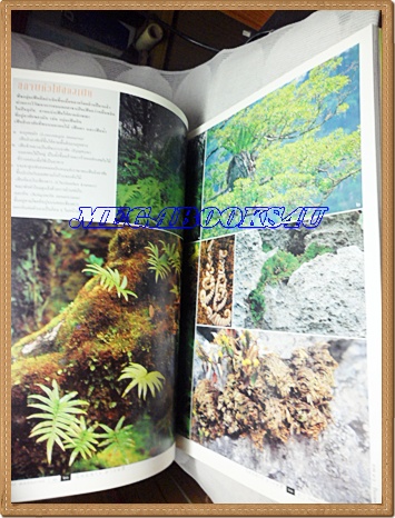 นิตยสารสารคดี ฉบับที่194 เมษายน 2544 เฟิน,ชนกว่าง,สำรับแขกคลองบางหลวง