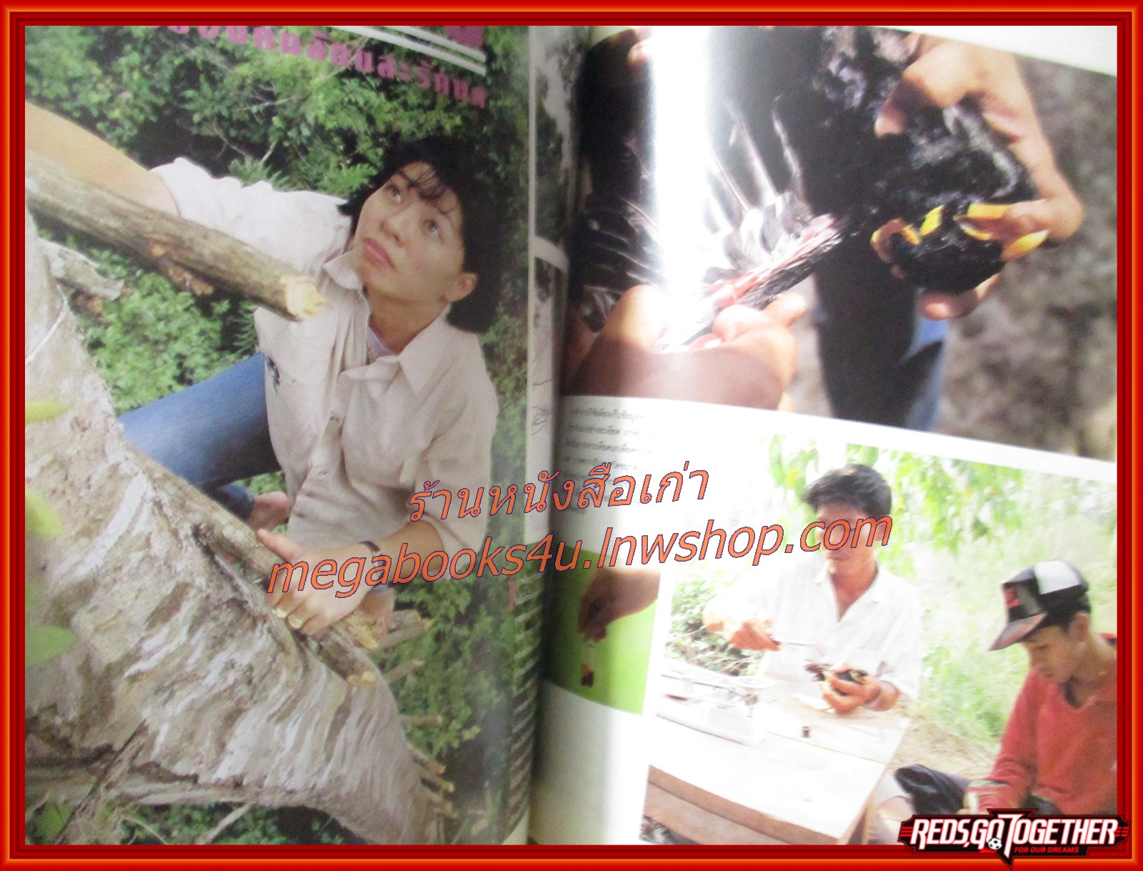 นิตยสารสารคดี ฉบับที่099 พฤษภาคม 2536 ปีที่9 ป่าเขตร้อน,หมอซินเธีย,นกขุนทอง,เที่ยวขอนแก่น,