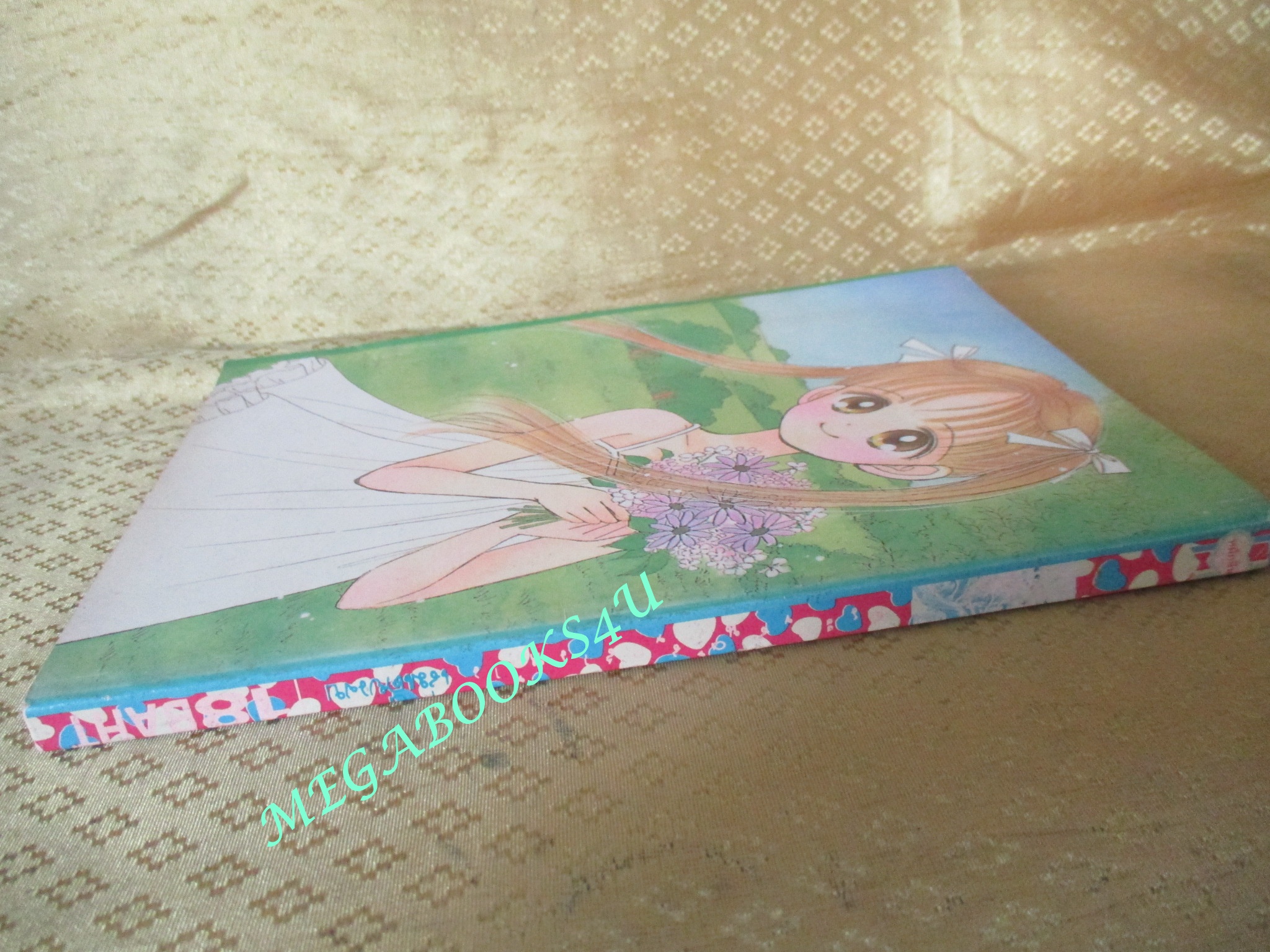 การ์ตูนบ้าน ตระกูลนี้ลูกสาวห้าว - ATSUKI RYO / เล่มเดียวจบ / หมึกจีน /