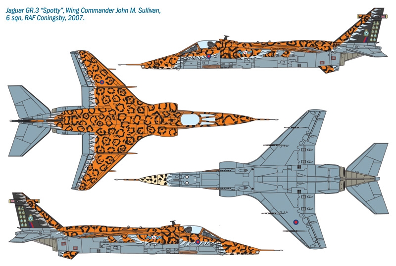 1/72 JAGUAR Gr.3 "BIG CAT" Special Colors