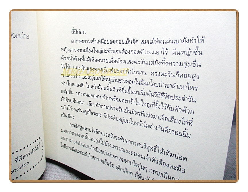 รักไม่เป็นใจ โดยฌามิวอาห์ ชุดรักจำแลง สนพ.แจ่มใส