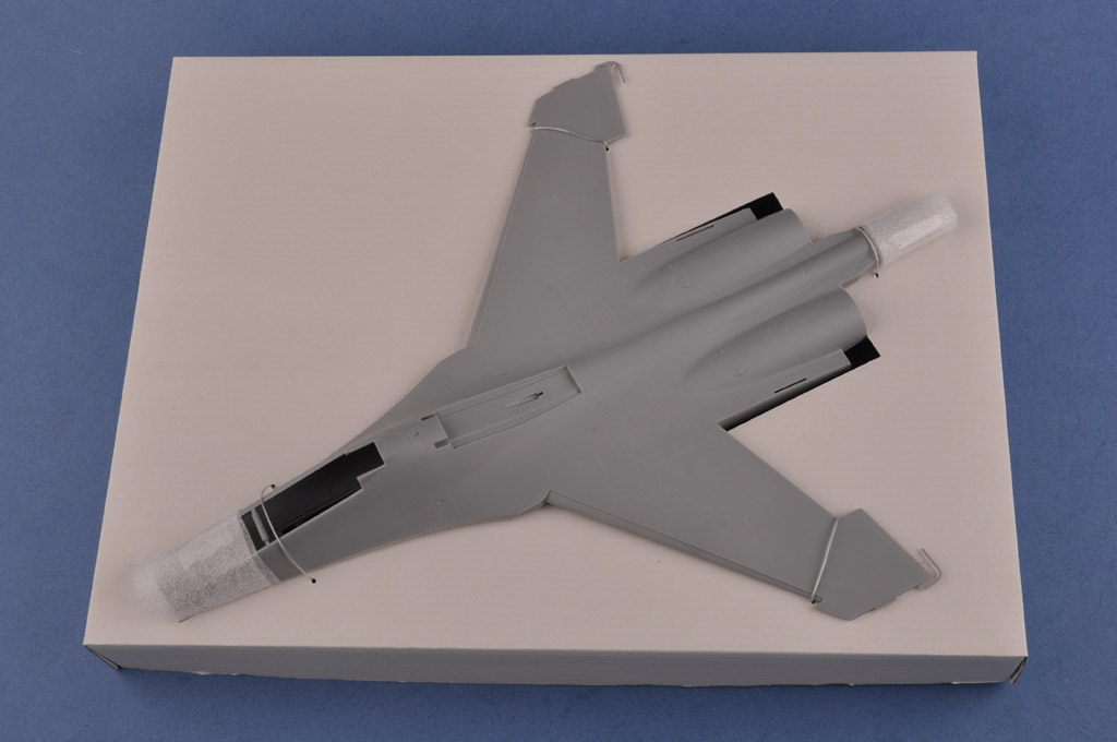 1/48 Su-30MKK Flanker G