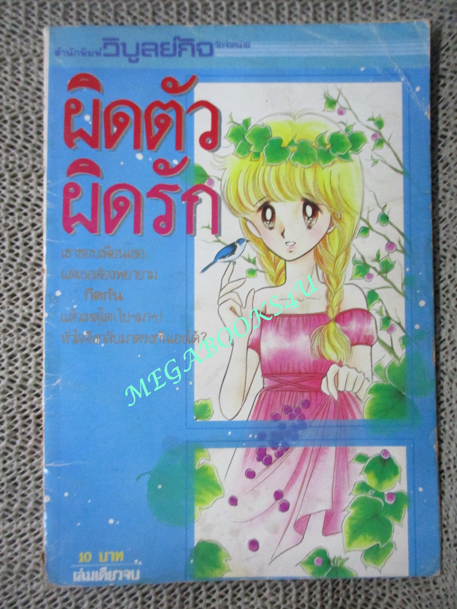 การ์ตูนบ้าน ผิดต้วผิดรัก / เล่มเดียวจบ / วิบูลย์กิจ / สภาพดี