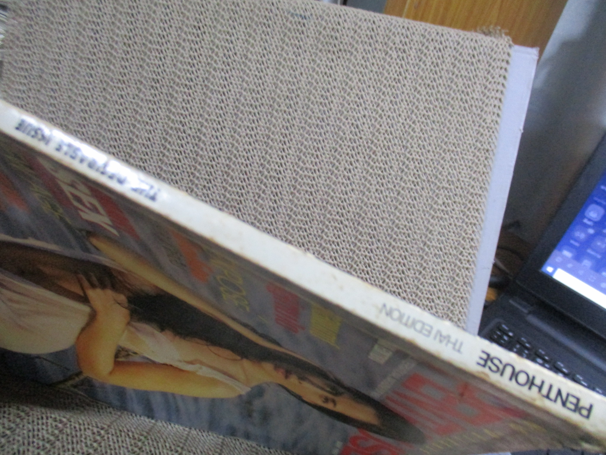 PENTHOUSE VOL.03 No.12 May 1997 สภาพปานกลาง ปกยับ สันปกเยินเล็กน้อย สภาพภายในดี