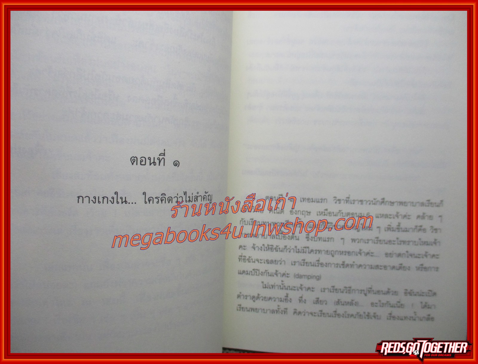 บันทึกเฮฮา...คุณหนูพยาบาลจอมจุ้น / เฟื่องฝน / anit / (มือสอง) (สภาพ85-95%)
