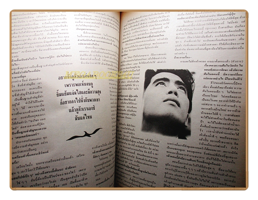 นิตยสารสีสัน ฉบับที่05 ปีที่03 2533 สภาพดี