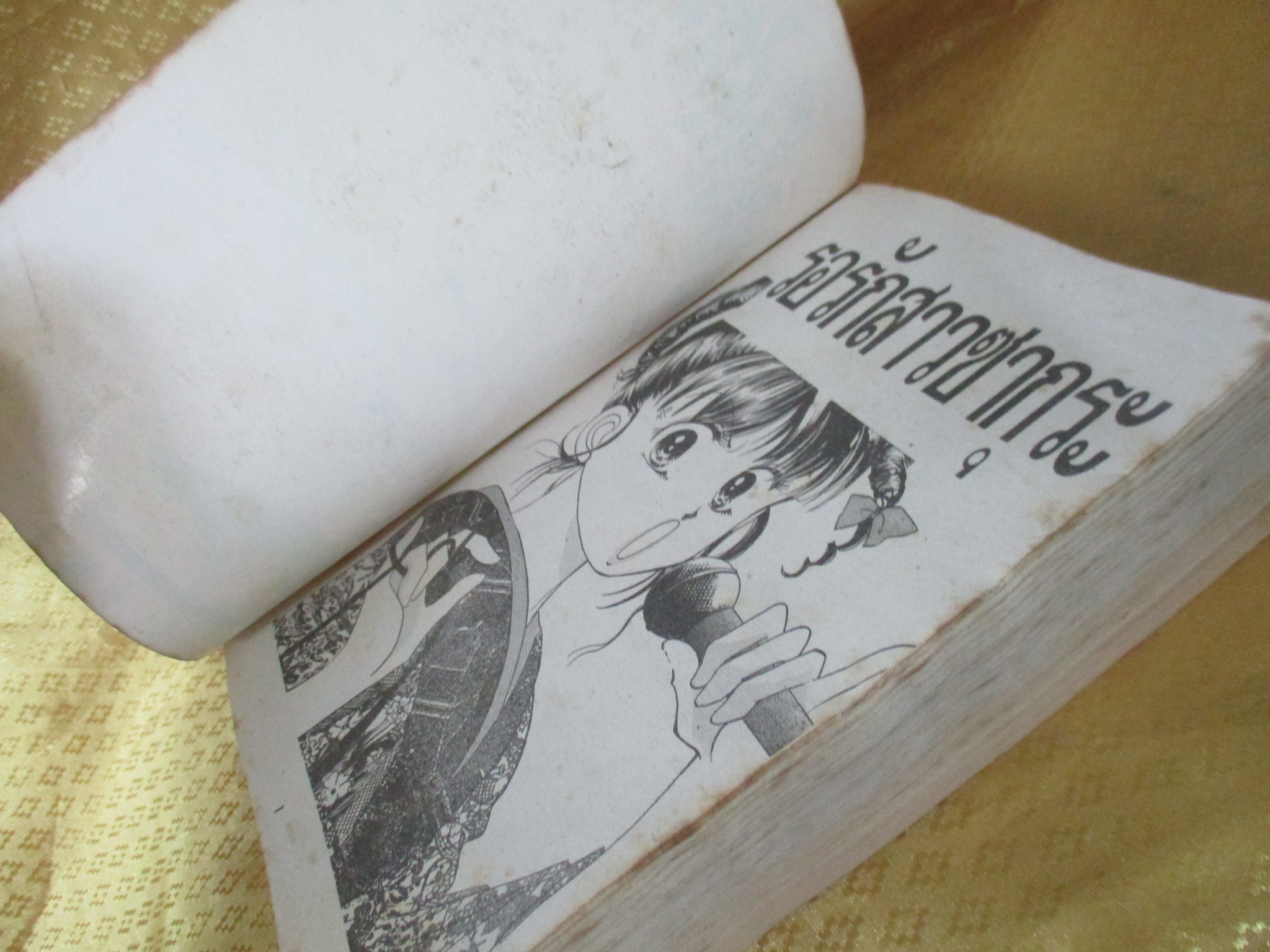 การ์ตูนบ้าน รอรักสาวซากุระ เล่มเดียวจบ โดย xxx สนพ.หมึกจีน