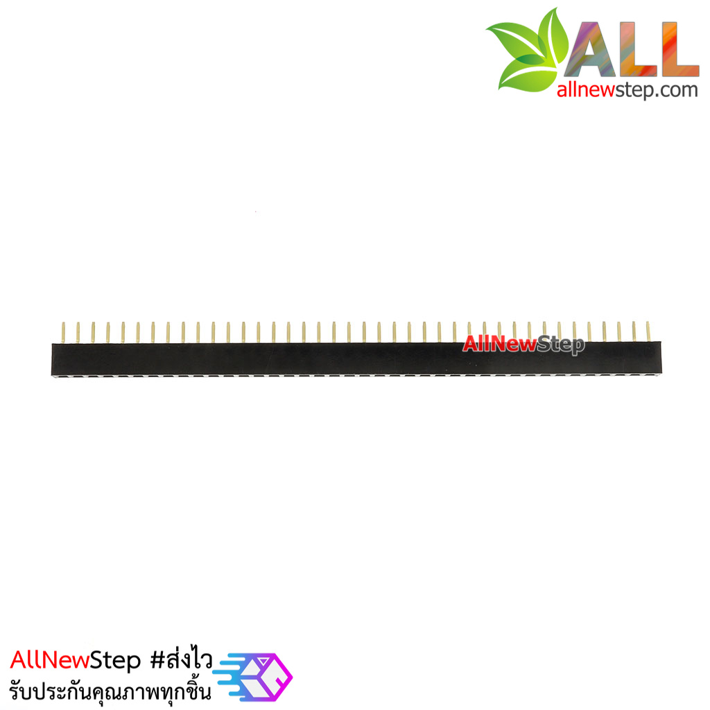 1X40P 2.0mm pitch single row female single row female connector female ตัวเมีย