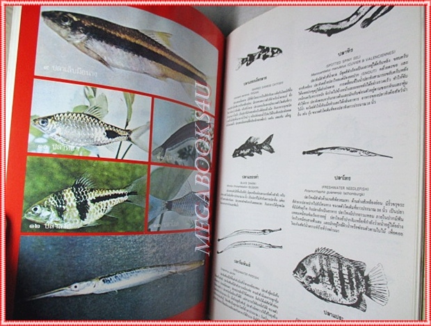 ธรรมชาติศึกษา เล่ม1 ปี2521 ฉบับนำสำรวจวนอุทยานน้ำตกบริพัตร