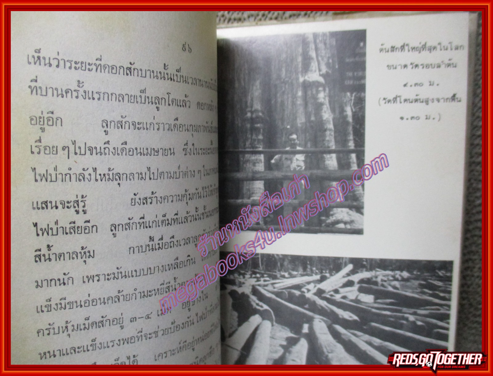 หนังสือ ธรรมาติเจ้าเอย โดย ดร. อำนวย คอวนิช (หนังสือบ้าน มือสอง) (สภาพ85-95%)