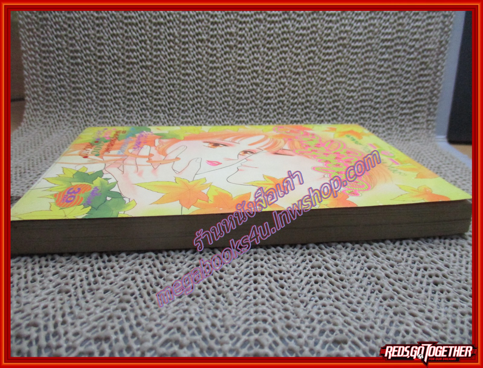 การ์ตูนบ้าน ภาพนี้เพื่อเธอ เล่มเดียวจบ สนพ.หมึกจีน