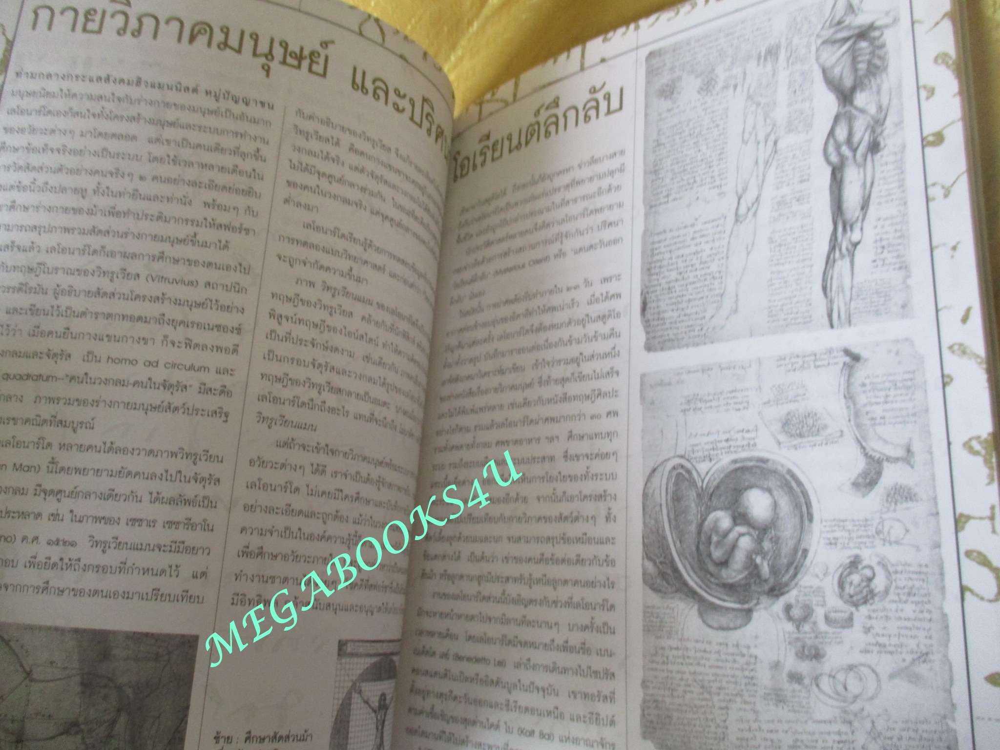 นิตยสารสารคดี ฉบับที่254 เมษายน 2549 ปีที่22 ;ถอดรหัสอัจฉริยะดาวินชี,พันธมิตรกู้ชาติ,สนธิ ลิ้มทองกุล,เที่ยวพังงา,