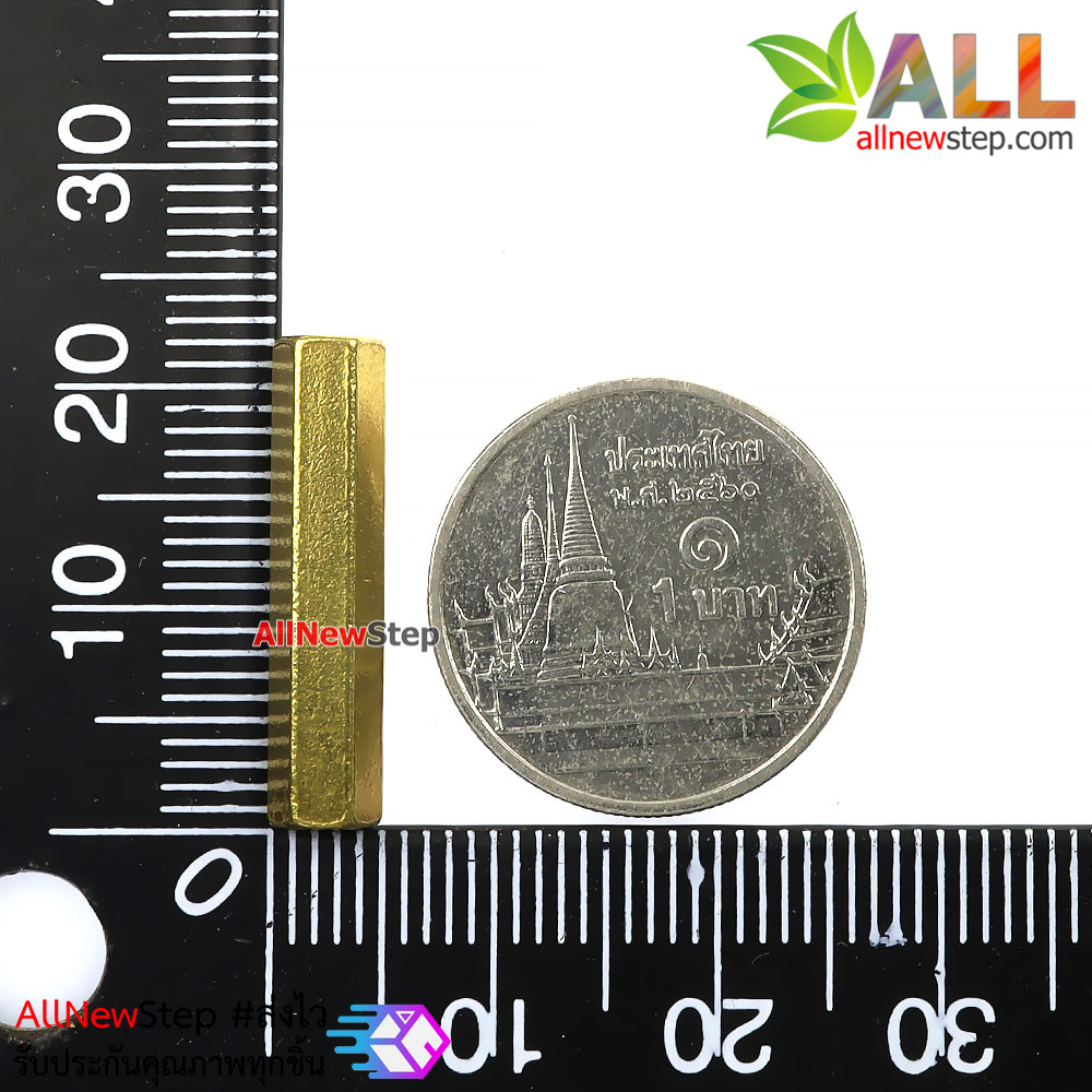 น็อต M2.5 ขนาด 22mm