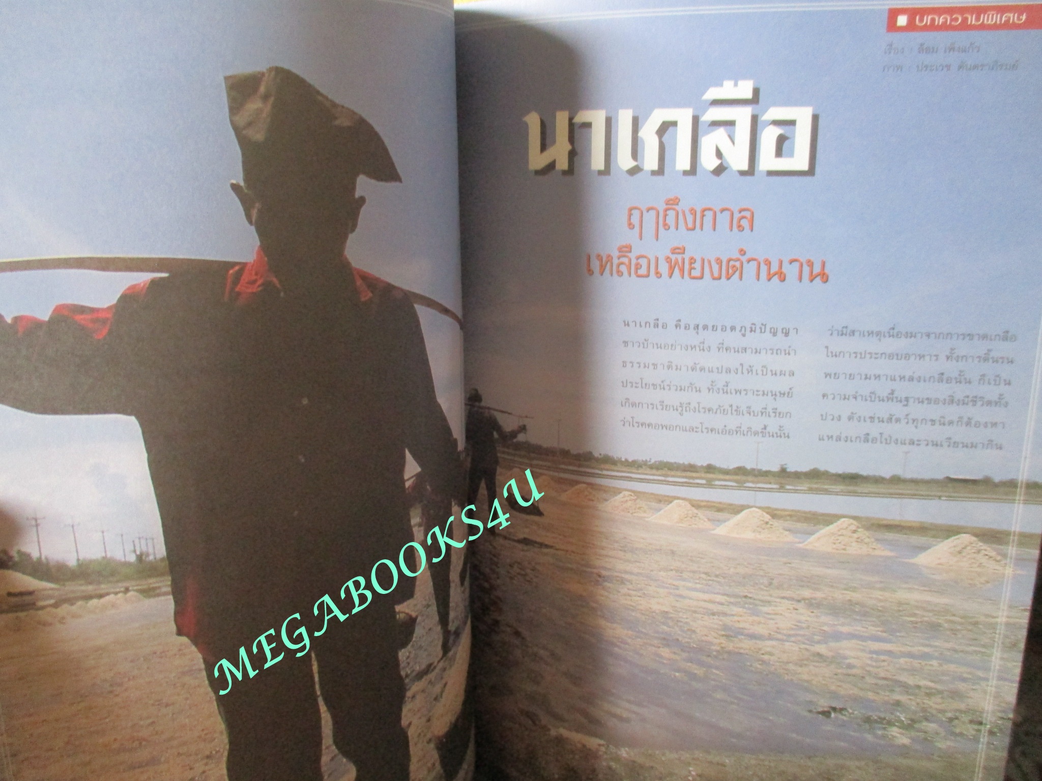 นิตยสารสารคดี ฉบับที่162 สิงหาคม 2541 รุ่งอรุณแห่งวิวัฒนาการสู่ลิงใหญ่บนแผ่นดินไทย การค้นหาปริศนามนุษย์