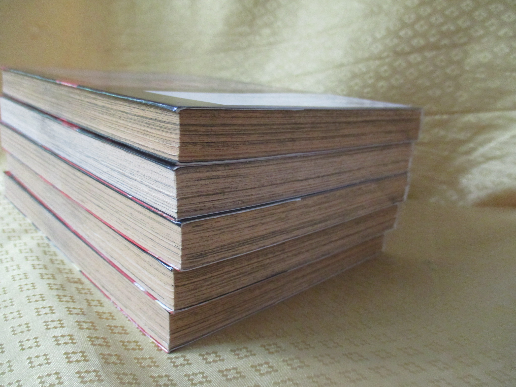 การ์ตูนบ้าน Knights อัศวินผู้สังหารพระเจ้า ครบชุด5เล่มจบ สนพ.สยามฯ