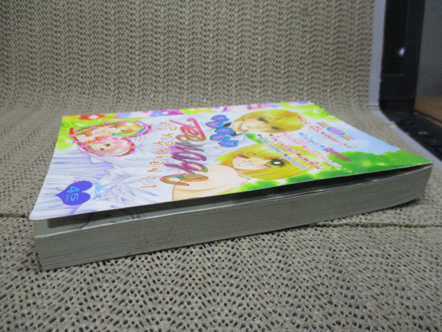 SWEET TEENAGE สวีททีนเอจ 11 เล่มเดียวจบ สนพ.หมึกจีน