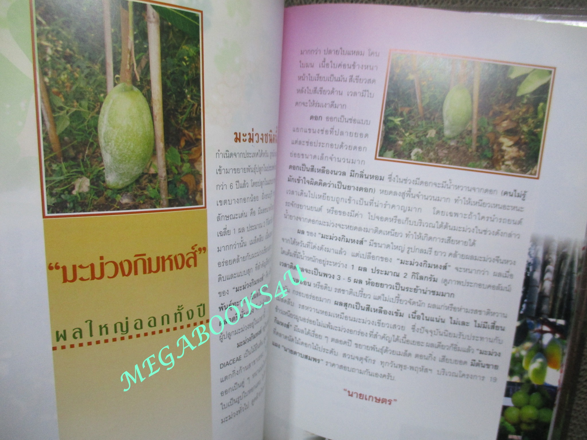 หนังสือ สมุนไพร ไม้ประดับหายาก เล่ม4 โดย นายเกษตร