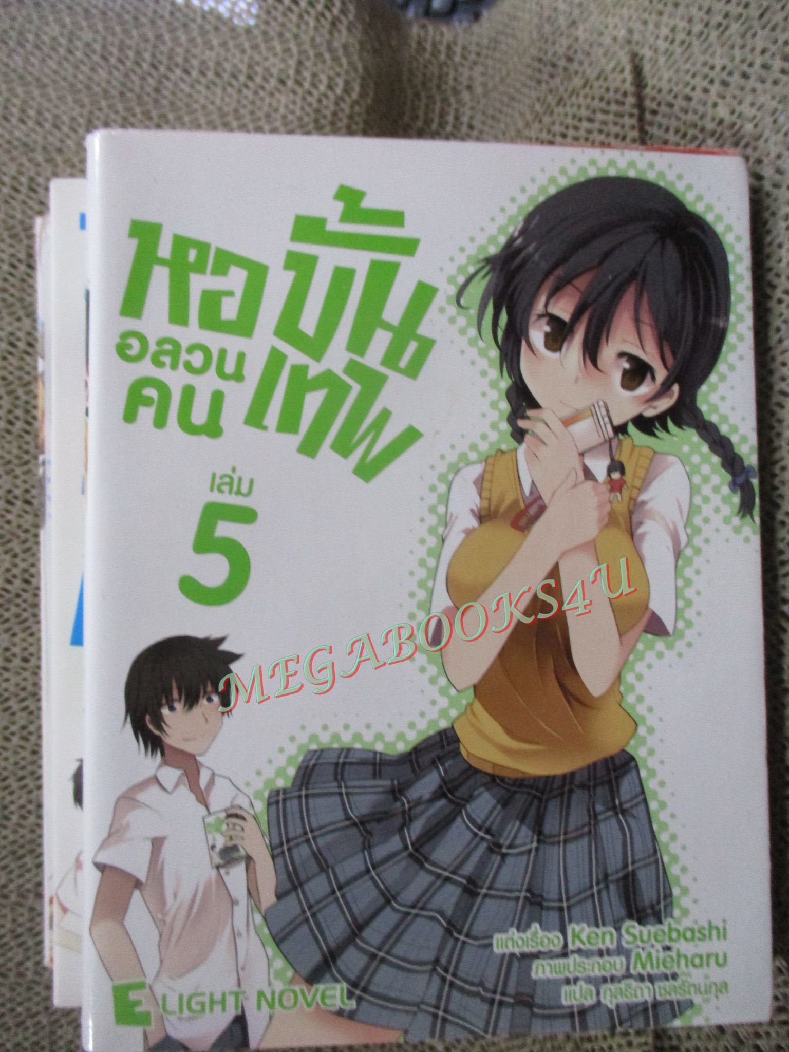 นิยาย หออลวนคนขั้นเทพ ผู้เขียน Ken Suebashi (เคน สุเอบาชิ) ผู้แปล กุลธิดา ชลรัตนกุล เล่ม 01-05