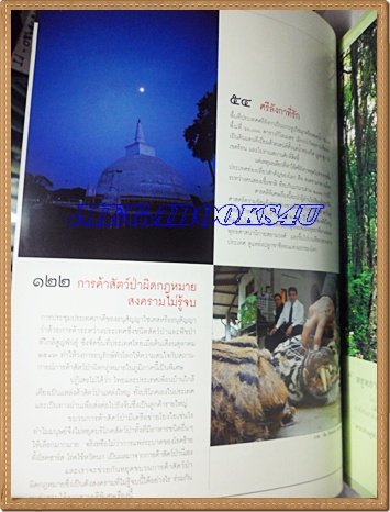 นิตยสารสารคดี ฉบับที่236 ตุลาคม 2547 ปีที่20 การค้าสัตว์ป่า,ศรีลังกา,พิธีส่งสการเจ้าเชียงใหม่,เที่ยวสิงห์บุรี,