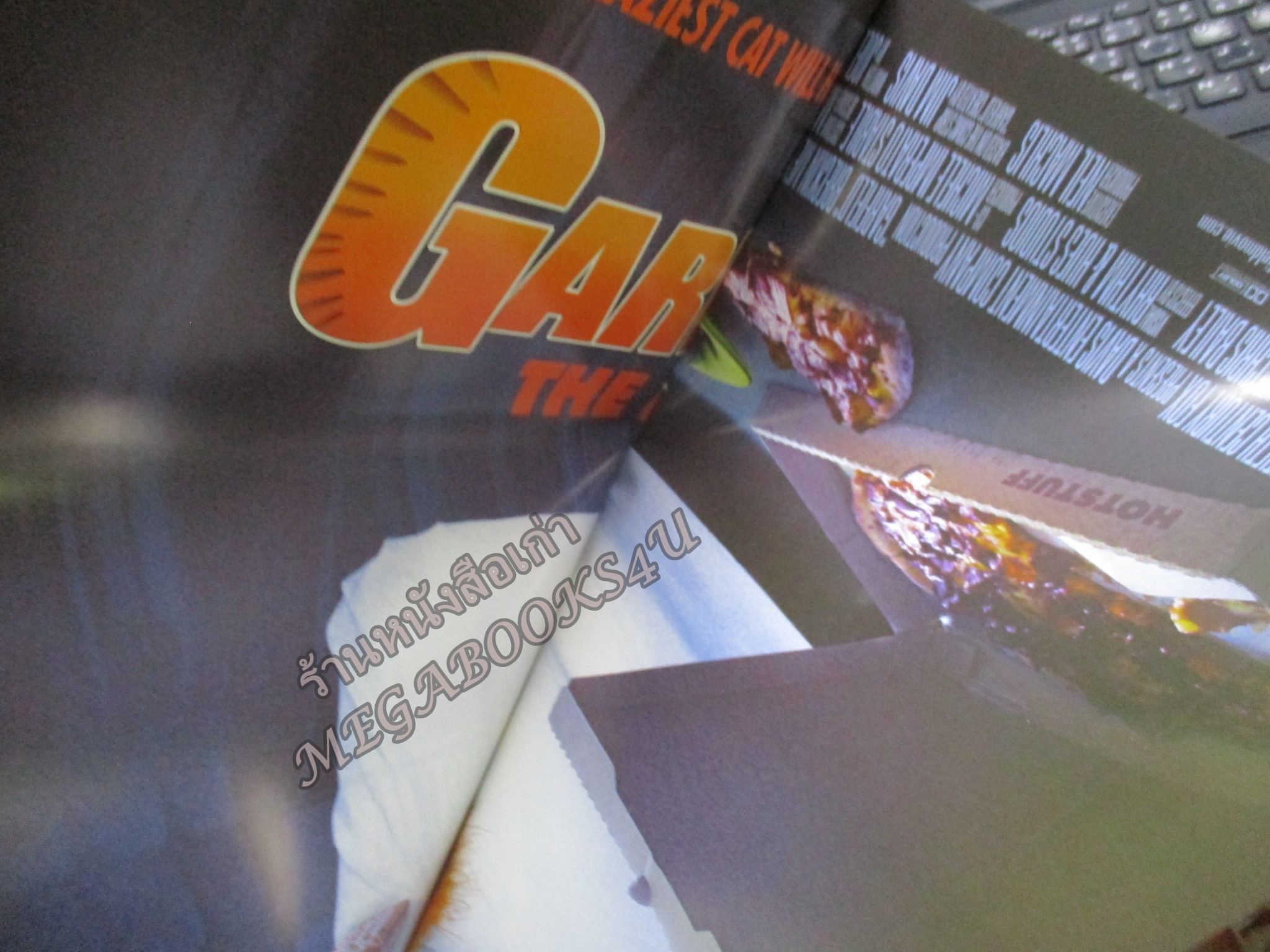 นิตยสารเอนเตอร์เทน Entertain ฉบับที่0798 ปี2547 ปก Sky Captain and the World of Tomorrow หน้ากลาง Garfield,