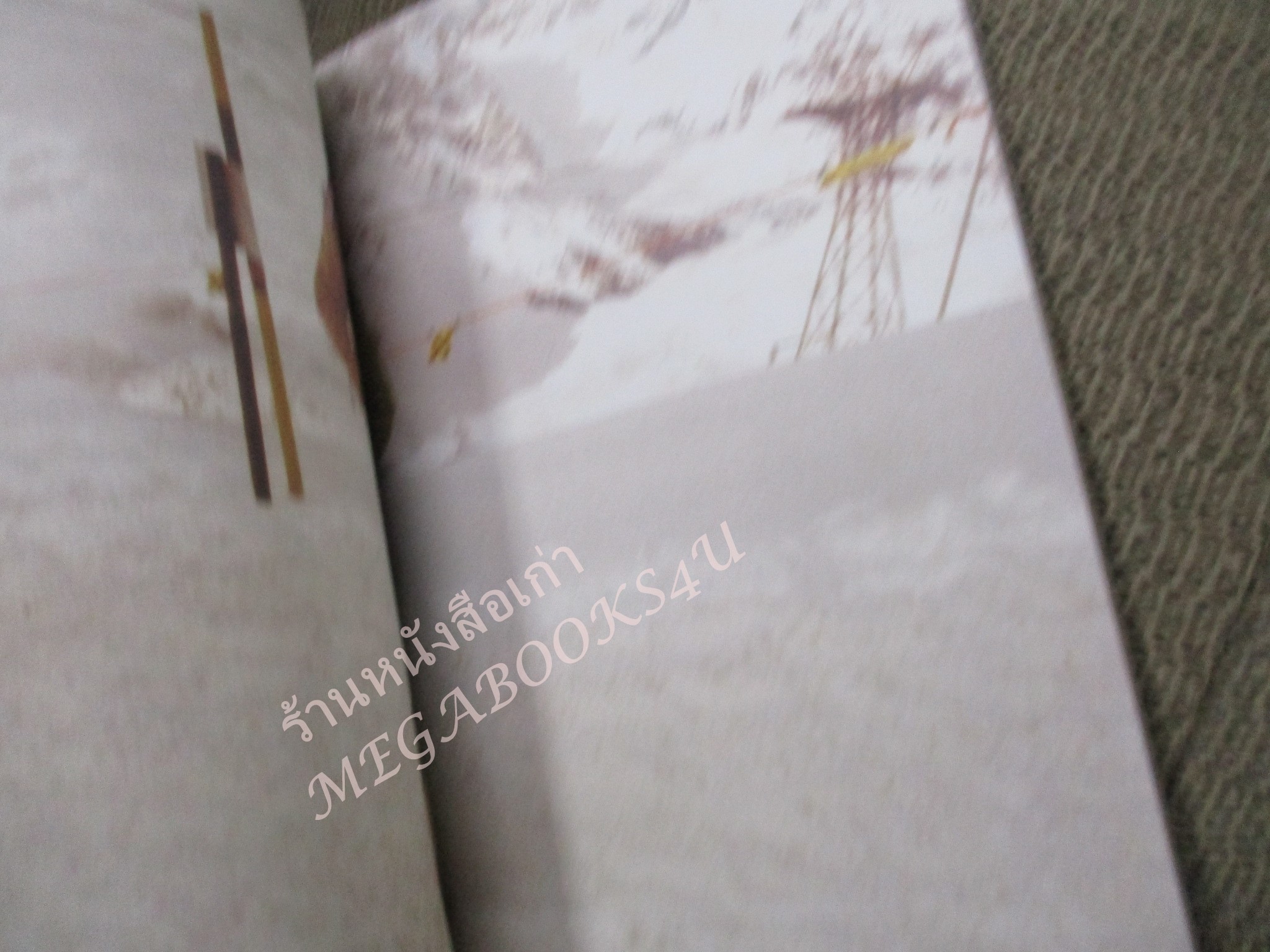 ธุรกิจพันล้านที่คนเมิน /วันชัย รุ่งภูวภัทร /