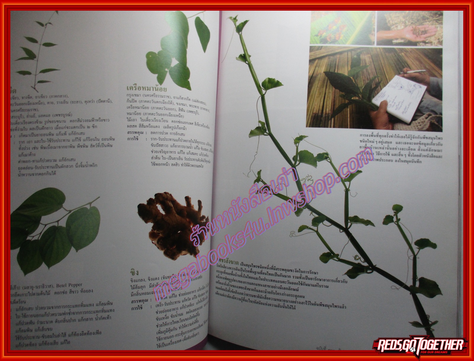 นิตยสารสารคดี ฉบับที่310 ธ.ค. 2553 ปีที่26 ,วอลเลย์บอลหญิง,สมุนไพรไทย,อุทกภัย53