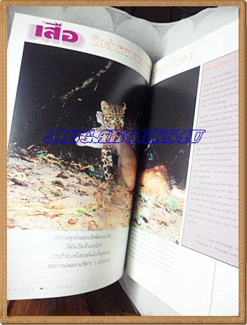 นิตยสารสารคดี ฉบับที่101 2536 เสือ เรือทราย,แอฟริกาใต้,เที่ยวลำพูน