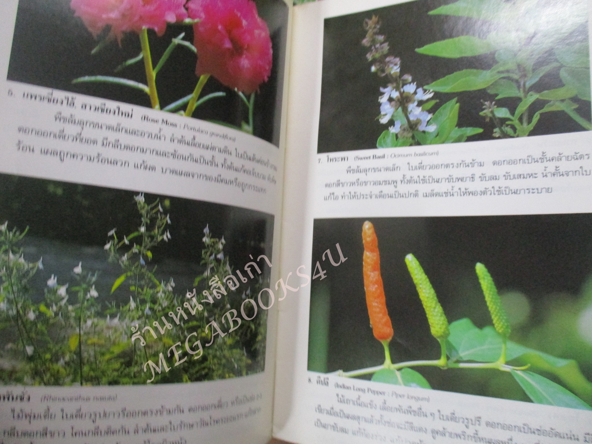 ธรรมชาติศึกษาชุด พืชสมุนไพร เล่ม 1-4 / พืชมีพิษ 1 เล่ม ทั้งหมด 5 เล่ม - สมสุข มัจฉาชีพ