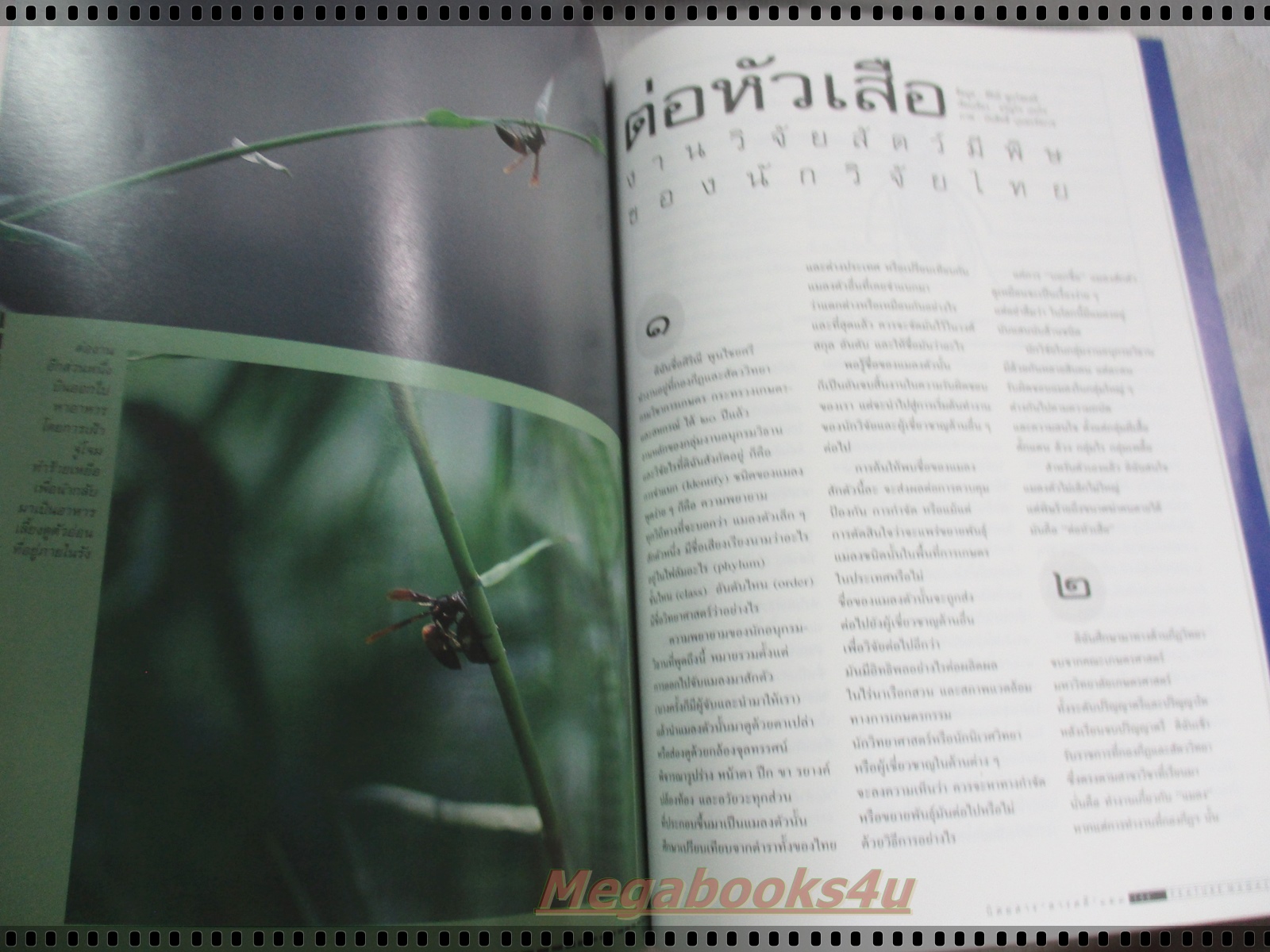 นิตยสารสารคดี ฉบับที่143 ม.ค. 2540 ทิเบต คำป่วน สุธงษา ต่อหัวเสือ เล้าข้าว