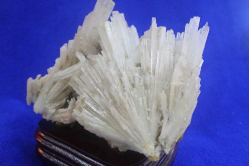 พุ่มหินเซเลไนต์ (Selenite)