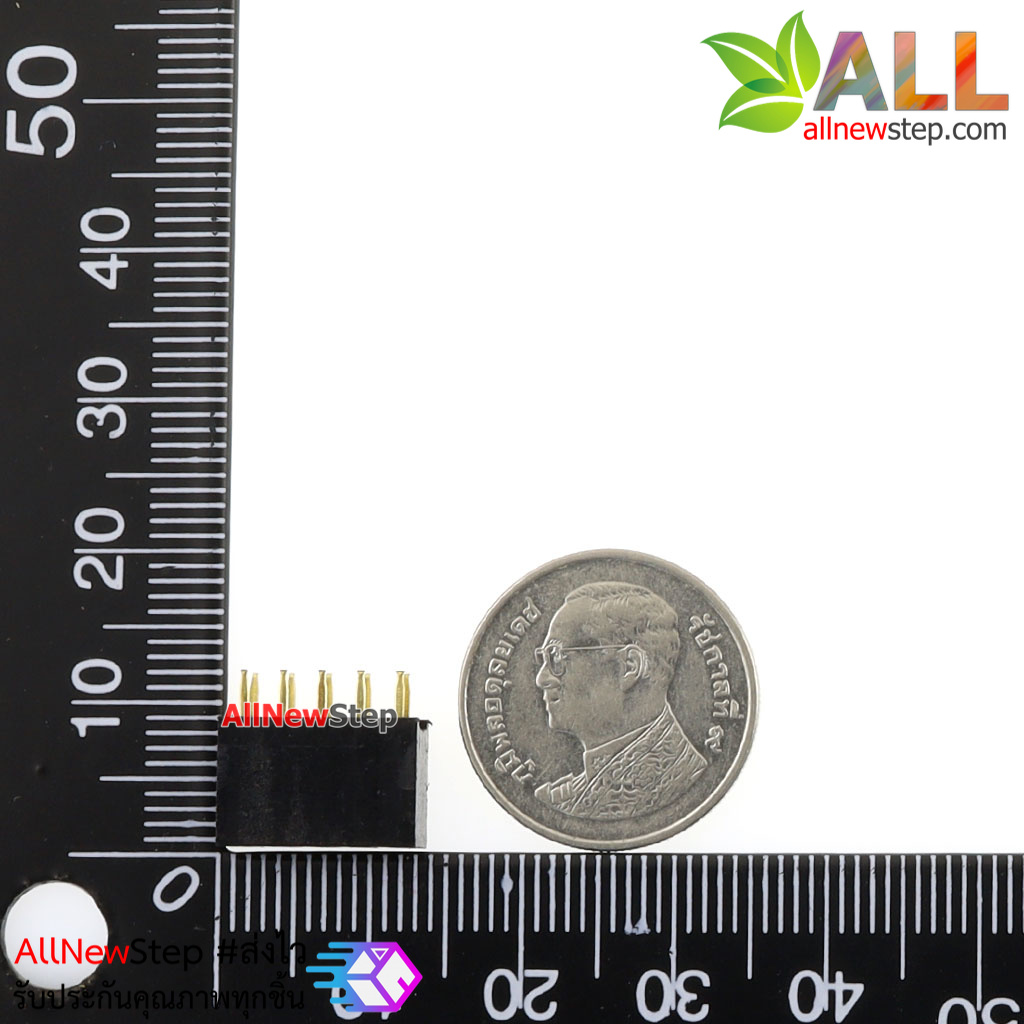 2.54mm pitch female double row female socket 2x5 pin