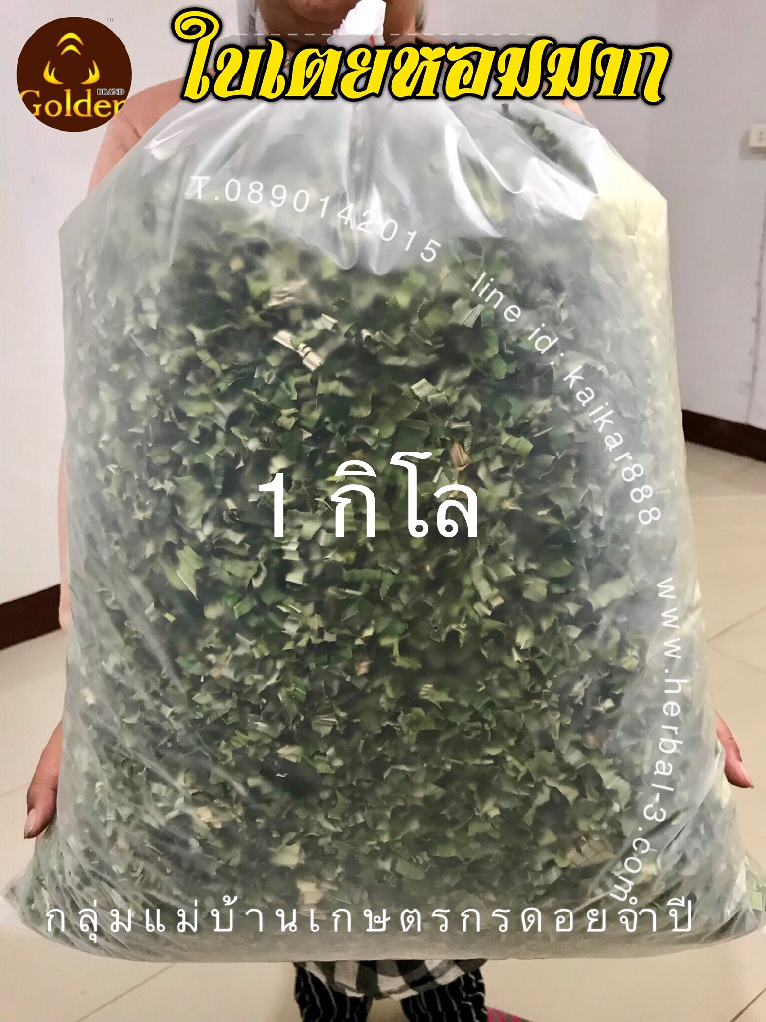 ชาใบเตยหอมมาก (กิโล)