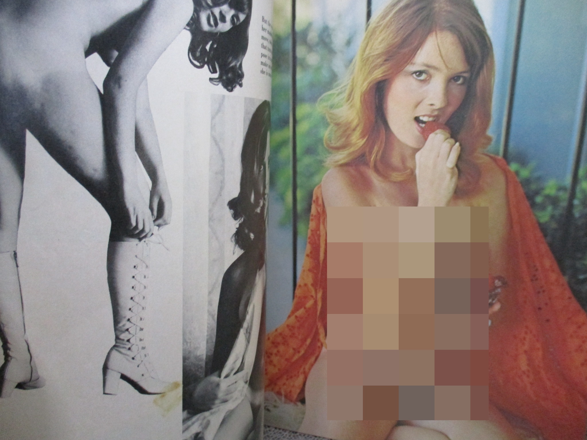 นิตยสาร DARLING; FEB1973