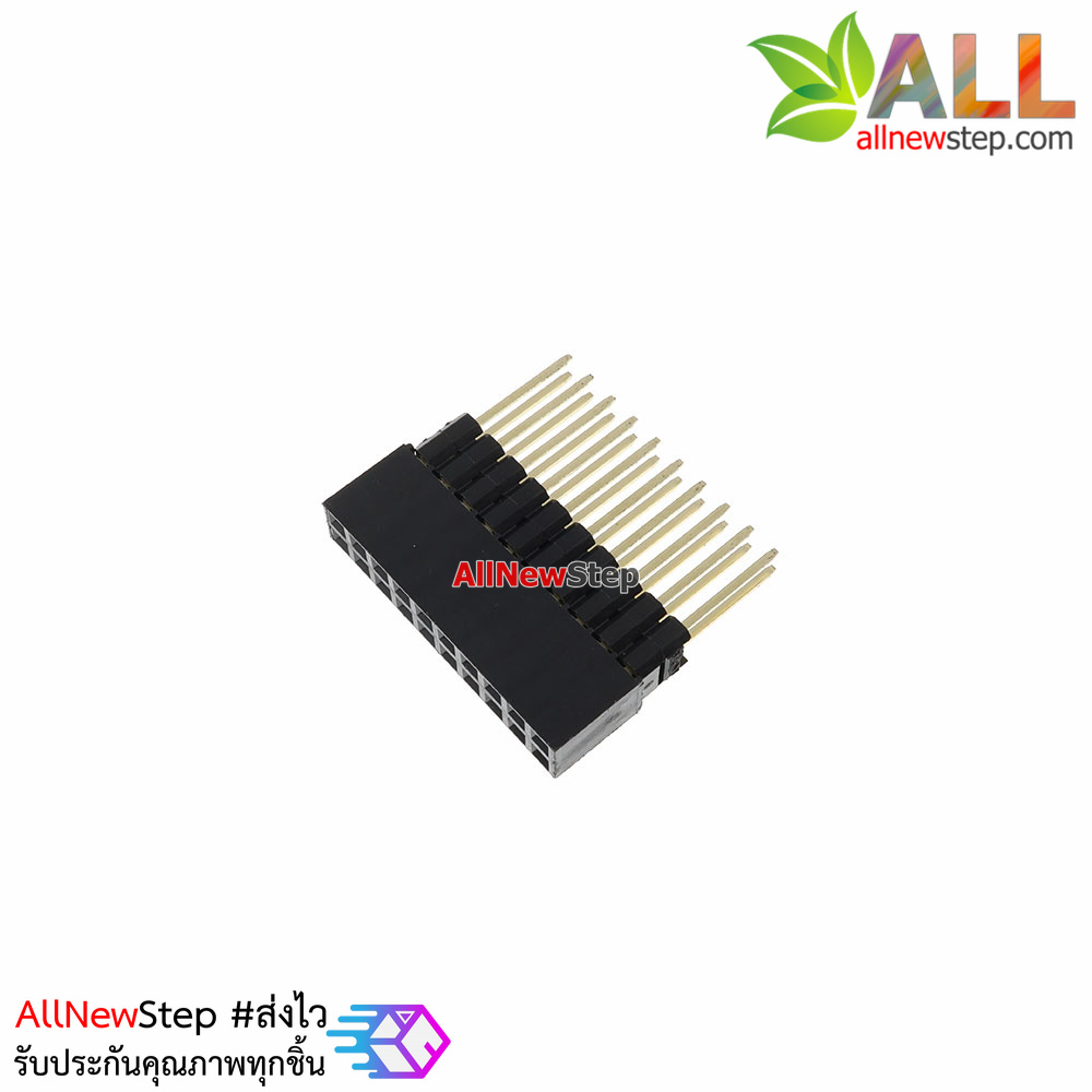 2x10 Pin 2.54mm double socket