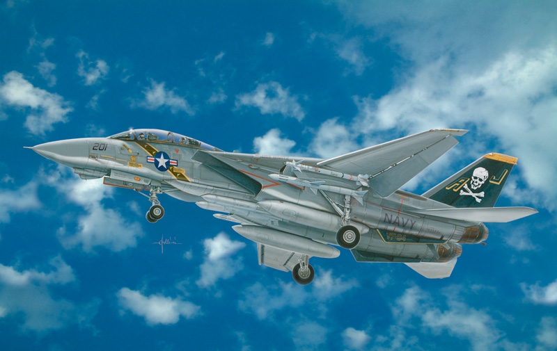 1/48 F - 14 A TOMCAT