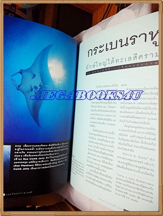 นิตยสารสารคดี ฉบับที่133 มีนาคม 2539 ปีที่12 ป๋วย อึ้งภากรณ์,กระเบนราหู,ค่ายแมวเหมียว,จังหวัดอำนาจเจริญ,