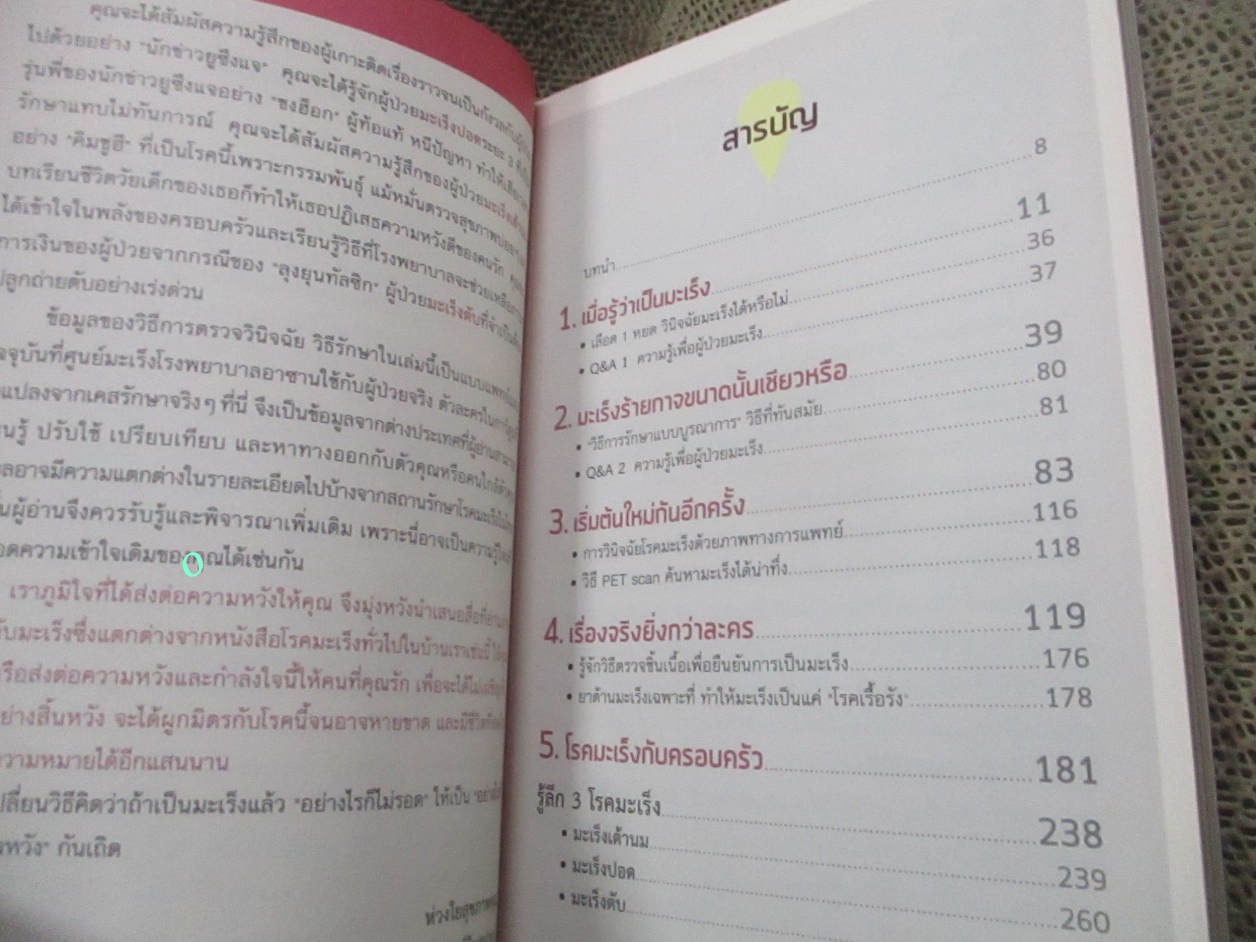มะเร็งไม่สิ้นหวัง เล่ม1 :มะเร็งเต้านม มะเร็งปอด มะเร็งตับ (การ์ตูนสุขภาพสำหรับผู้ใหญ่ช่วยให้เข้าใจ)