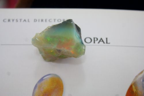 โอปอล (OPAL)