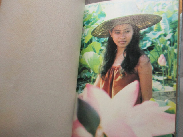 แผลเก่า , แสนแสบ ฉบับมีภาพประกอบจากภาพยนตร์ โดย ไม้เมืองเดิม