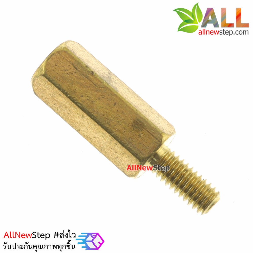 Nut screw m2.5 น็อตสกรู M2.5 ขนาด 11+6mm