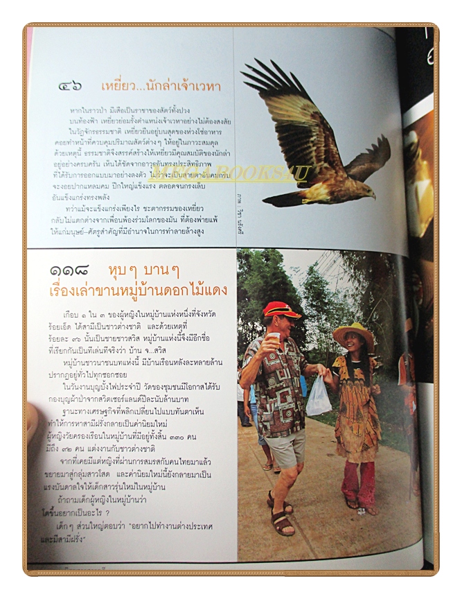 นิตยสารสารคดี ฉบับที่247 ปีที่21 2548 เหยี่ยว เมียฝรั่ง